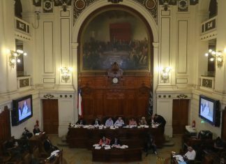 Patricio Navia: El año de la marmota en 2023