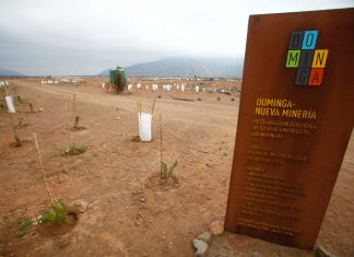 Grandes empresarios celebran decisión de la Suprema sobre Dominga: “Confirma que cumple con la normativa”