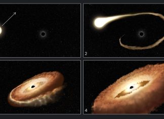 Descubren un agujero negro hambriento, torciendo en forma de dona a una estrella ‘espaguetizada’
