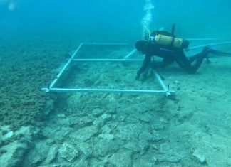 Arqueólogos encuentran una antigua y misteriosa carretera en el fondo del mar Mediterráneo