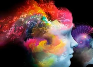 Los alimentos que debes evitar para tener buena memoria, según Harvard