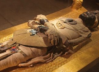 Egiptólogo dice que la maldición de la momia es real y puede demostrarlo científicamente