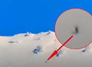 VIDEO | Graban un Bigfoot atravesando una montaña en EE.UU. a gran velocidad