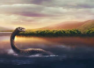 Un matemático confirma que Nessie existe y no es una anguila gigante