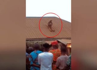 VIDEO | Graban una extraña criatura humanoide en una aldea nigeriana