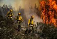 Conaf activa botón rojo en 144 comunas por alto riesgo de incendios forestales