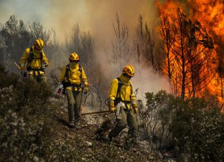 Habrían sacrificado sus vidas: la hipótesis tras muerte de tres brigadistas que combatían incendio forestal en Los Sauces