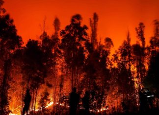 Estado de Emergencia en Maule y Ñuble, y toque de queda para comunas de La Araucanía