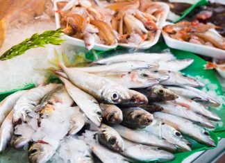 Así quedó en definitiva la nueva Ley de Pesca