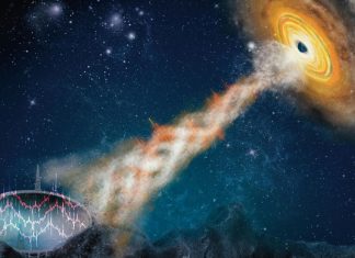 Revelan una nueva característica de los agujeros negros estelares nunca antes conocida