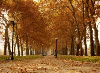 Llega el otoño y bajan las temperaturas en la RM: Revisa el pronóstico para esta semana