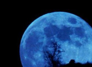 Superluna azul: ¿Cuándo podremos ver este extraño fenómeno astronómico en Chile?
