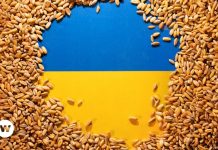 ¿Qué se sabe de la sombra de la corrupción que amenaza a Ucrania en Tiempos de Guerra?