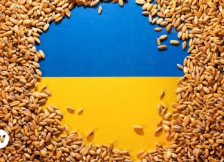 La economía de Ucrania muestra un sorpresivo crecimiento en medio de la invasión rusa