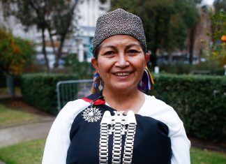 Contraloría ordena a la Usach abrir proceso disciplinario contra Elisa Loncon por actividades en año sabático