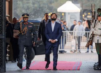 Patricio Navia: Un gobierno de más cabezas que manos