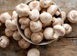Los múltiples beneficios del champiñón: previene el cáncer, el alzhéimer y la vejez