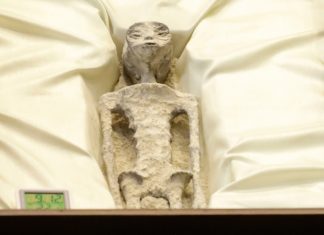 Periodista muestra «seres no humanos» de «1.000 años de antigüedad» en el Congreso mexicano