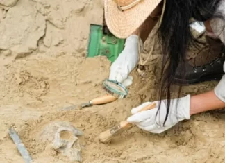 Conmoción científica: descubren un fósil humanoide de posible origen extraterrestre, ¿qué hallaron?