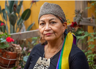 Hilarante reacción al inglés de Elisa Loncón