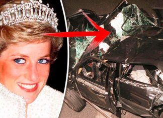 La escalofriante respuesta de la Inteligencia Artificial sobre quién estuvo detrás de la muerte de la princesa Diana