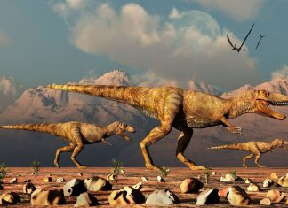 Tiranosaurios por millones: una nueva estimación reduce la población histórica del T. rex en 800 millones