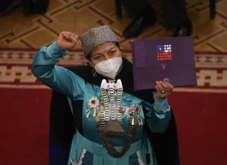 Dra. Loncón, perdona nuestros pecados