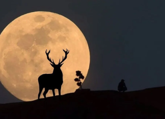 Julio: un mes lleno de espectáculos celestes, desde la Luna del Ciervo hasta lluvias de meteoros