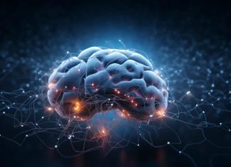 Siete alimentos que afectan la salud cerebral, según expertos