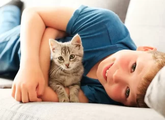 Estudio asegura que tener un gato como mascota aumenta el riesgo de padecer esquizofrenia