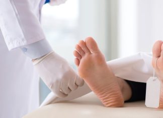 Cuerpos humanos «de repuesto»: ¿qué se sabe de esta inquietante idea científica?