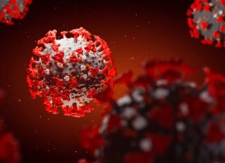 Alerta por la nueva subvariante EG.5.1 del coronavirus que acelera su propagación por el mundo