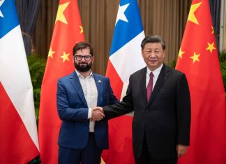 Patricio Navia: No meterse en peleas de perros grandes