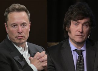 Elon Musk da nuevo respaldo a Milei y dice que quiere invertir en Argentina