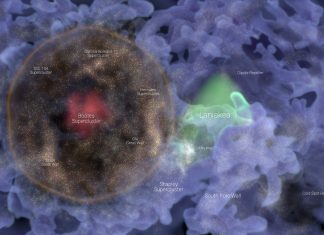 Esta inmensa burbuja de galaxias podría ser un fósil del Big Bang