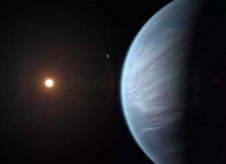 ¿El exoplaneta K2-18b tiene vida? Así se verían los habitantes extraterrestres de este mundo