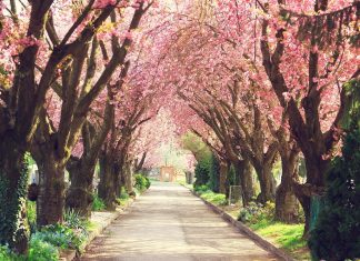 Los memes y las imágenes más divertidas que dejó la llegada de la primavera