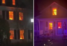 En Halloween, bromas que primero aterrorizaron y luego terminaron en carcajadas