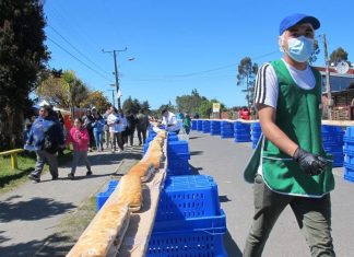 Récord Guinness para Chiloé: Quellón pasó a la historia por preparar el sándwich de choritos más largo del mundo