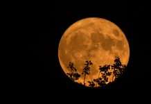 Tres fenómenos astronómicos marcarán el primer sábado de 2026