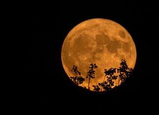 Tres fenómenos astronómicos marcarán el primer sábado de 2026