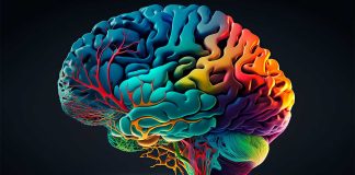 Cuidar el cuerpo es cuidar el cerebro: neurólogos revelan 17 hábitos clave para prevenir el deterioro cognitivo