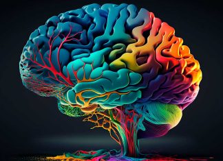 Día Mundial del Cerebro: 12 claves para mantenerlo sano y evitar el envejecimiento cognitivo