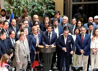 Luis Larraín: La derecha y la reforma de pensiones