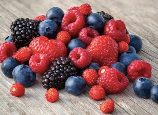 El arándano, el fruto rojo más “poderoso” para mejorar la memoria y proteger al cerebro, según Harvard