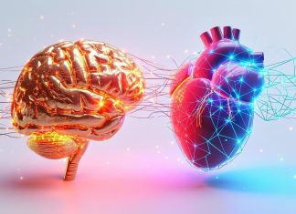 Así reacciona tu cerebro y tu corazón cuando te enamoras, según la ciencia