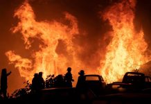 Alerta roja por calor extremo: advierten alto riesgo de incendios entre Coquimbo y Ñuble