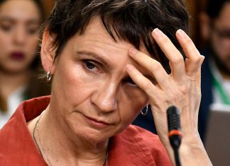 Ministra Tohá no descarta revindicaciones territoriales en incendios forestales de la Araucanía