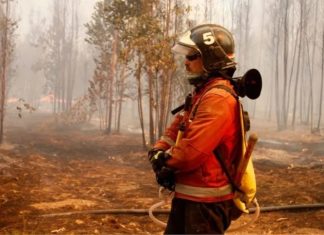 Paul Vásquez integrado absolutamente al combate de incendios de la Región de Valparaíso