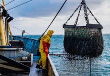 Preocupación en el continente porque Chile bajó medidas de protección para el ingreso de buques pesqueros chinos